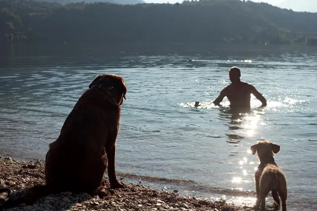 Camping Penisola Verde