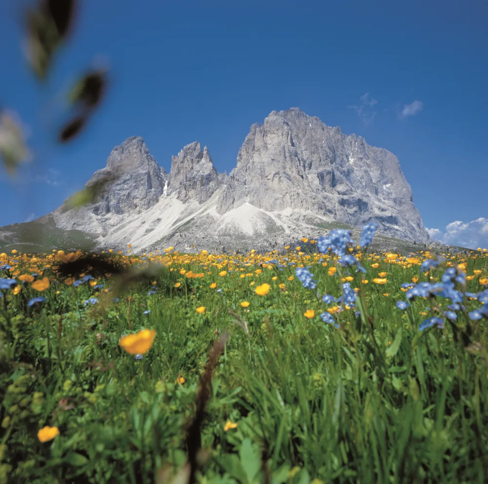 Camping Penisola Verde - image n°48 - UniversalBooking