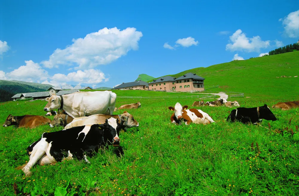 Camping Penisola Verde - image n°41 - UniversalBooking