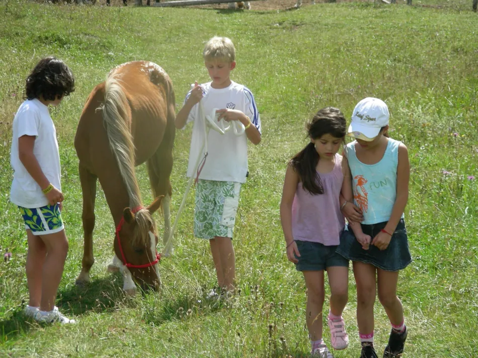 Camping Penisola Verde
