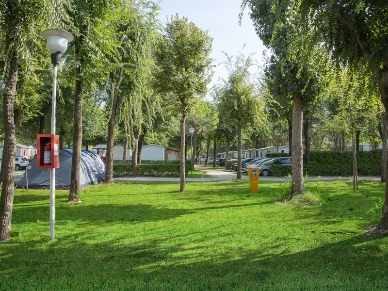 Stellplatz D - 220V(6A) - H2O