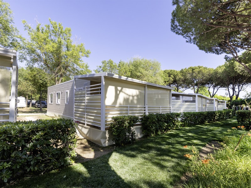 Maxi Caravan Gold Bellevue