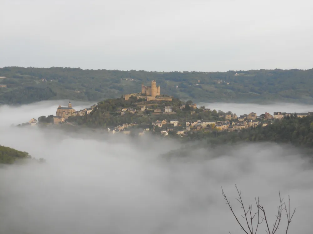 Camping du Lac de Bonnefon