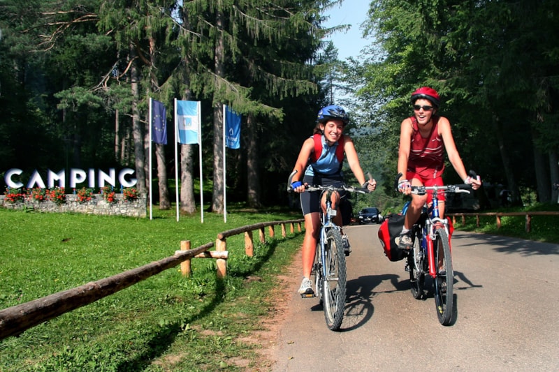 Camping Bled photo 3