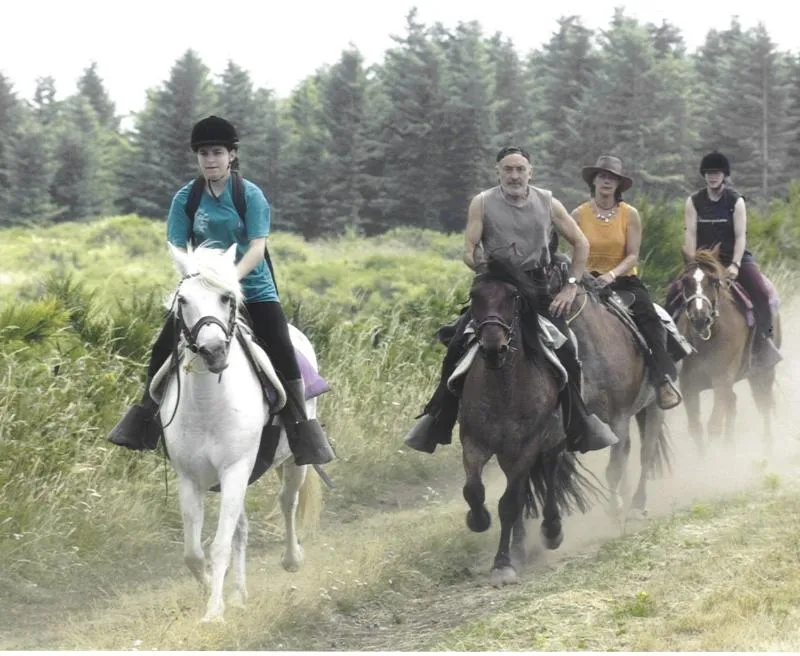 Camping Les Terrasses du Lac