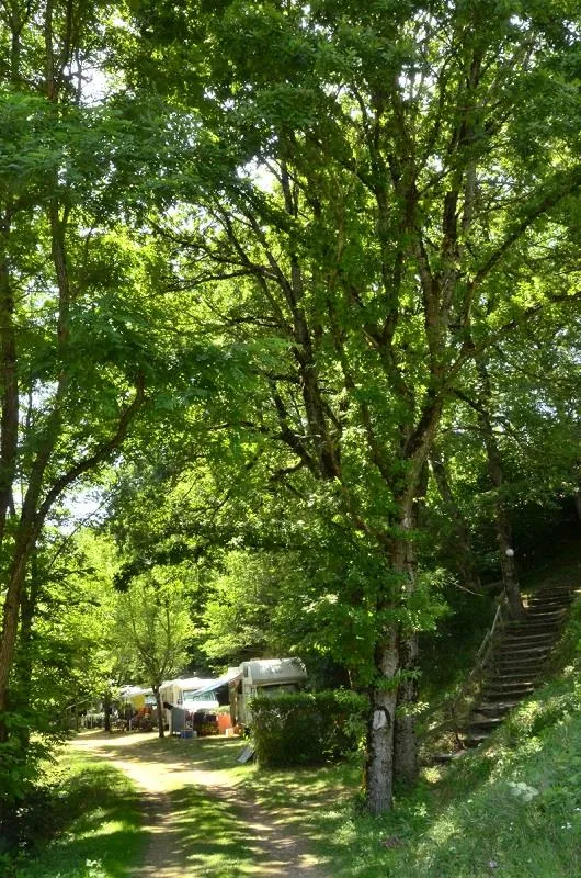 Emplacement Privilège (1 Tente, Caravane Ou Camping-Car / 1 Voiture / Électricité 6A) + Raccordement Eau Et Évacuation Des Eaux Usées