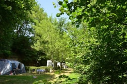 Kampeerplaats(en) - Basisprijs Comfortplaats (1 Tent, Caravan Of Camper / 1 Auto / Elektriciteit 6A) - Camping Les Terrasses du Lac