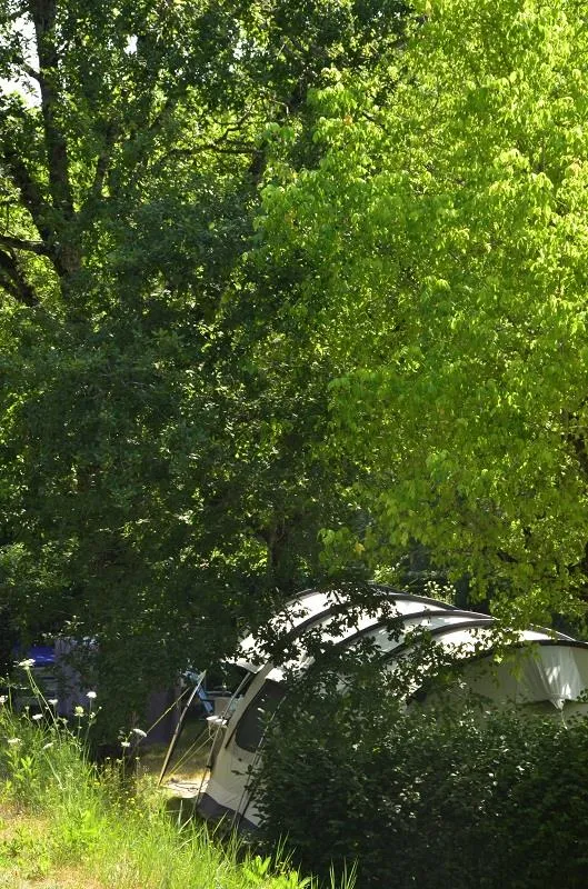 Emplacement Confort (1 Tente, Caravane Ou Camping-Car / 1 Voiture / Électricité 6A)