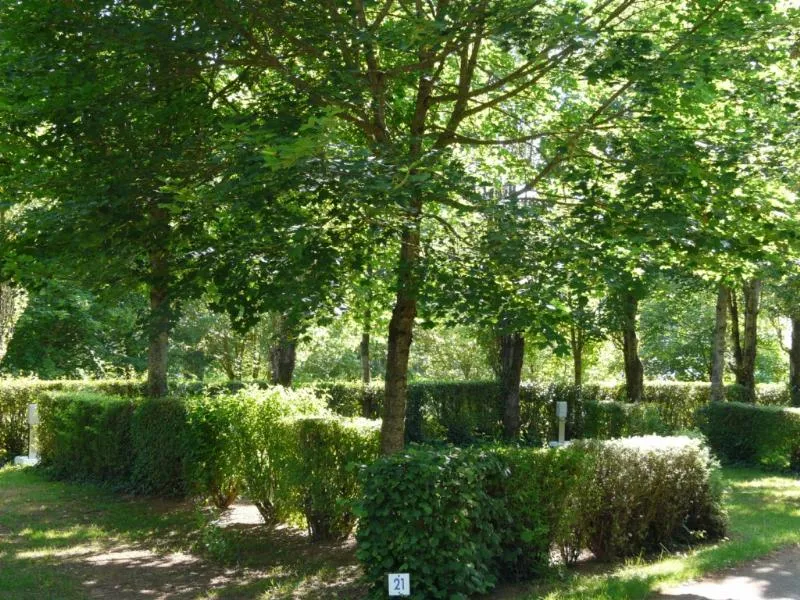 Forfait Grand Confort + 1 Voiture + 1 Tente, Caravane Ou Camping-Car Avec Électricité 10A Gcc