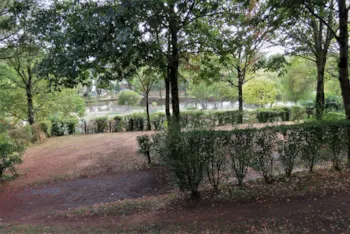 Stellplatz - Stellplatz Komfort: Auto + Zelt/Wohnwagen Oder Wohnmobil + Strom - Camping La Peyrade