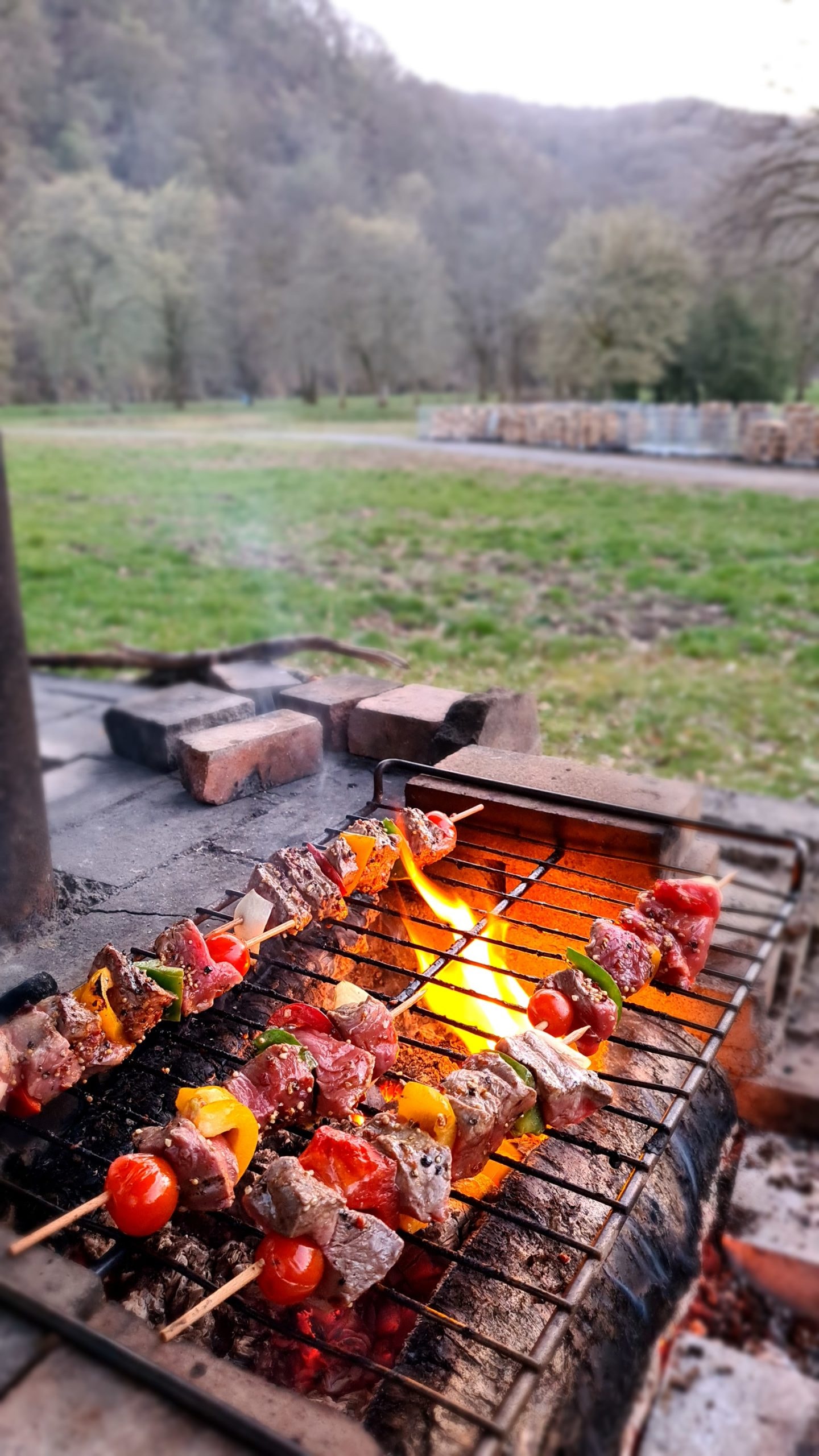 Domaine d'Haulmé — Photo 4