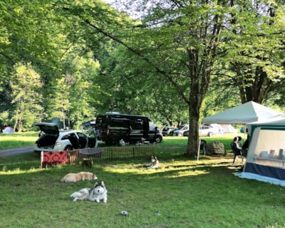 caravan pitch of 200m² in the heart of nature — 10