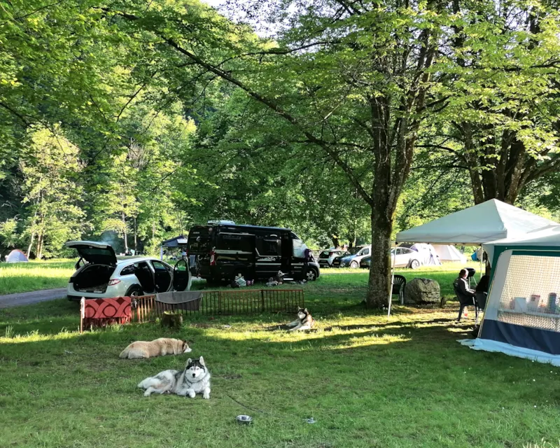 Emplacement Van / Camping Car De 200M² En Pleine Nature