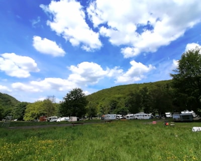van / camper van pitch of 200m² in the heart of nature — 9