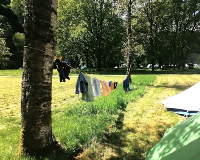 Tent pitch of 200m² in the heart of nature — 4
