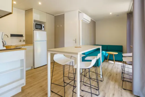 Location - Mobil-Home Java Climatisé - image n°3 - Camping**** et Base de Loisirs La Plaine Tonique