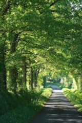 Foto #17 van Camping Onlycamp de la Vègre