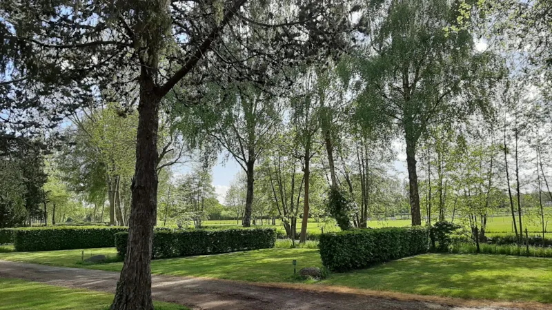 Forfait Camping (Emplacement, 2 Personnes, 1 Véhicule)