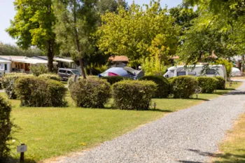 Pitch - Comfort Package (1 Tent, Caravan Or Motorhome / 1 Car / Electricity 10A) - Camping Royal Océan