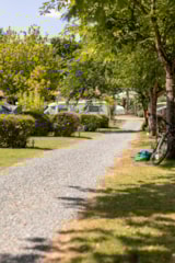 Foto #10 van Camping Royal Océan