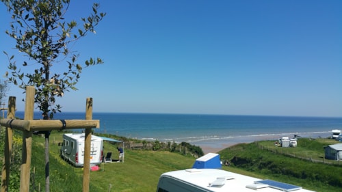 Foto #1 van Flower Camping Omaha Beach