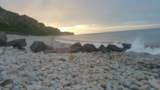 Foto #25 van Flower Camping Omaha Beach