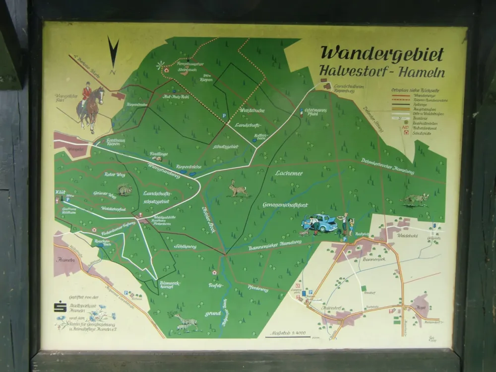 Camping am Waldbad - image n°14 - UniversalBooking