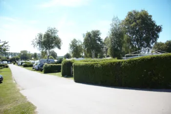 Stellplatz - Stellplatz Standard Ca. 95 - 109 M² - Ostseecampingplatz Familie Heide