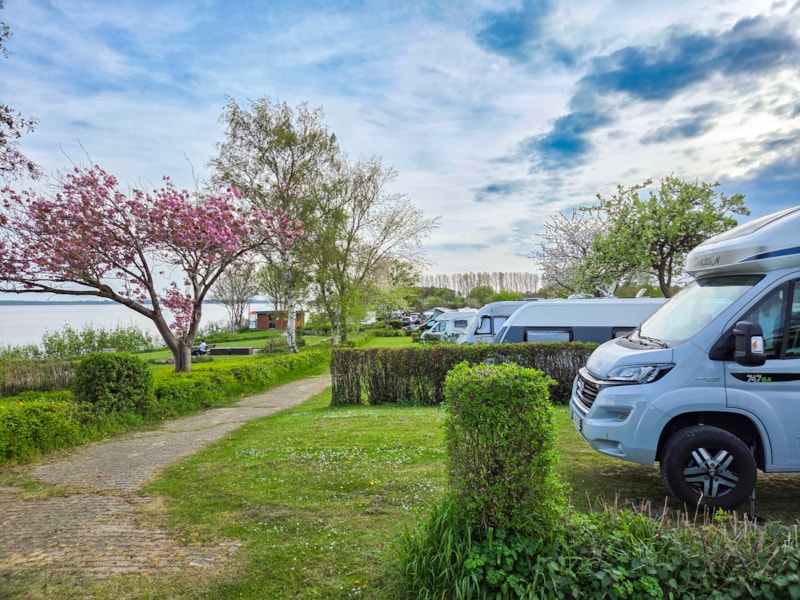 Stellplatz Premium ca. 130 - 160 m² in Wassernähe