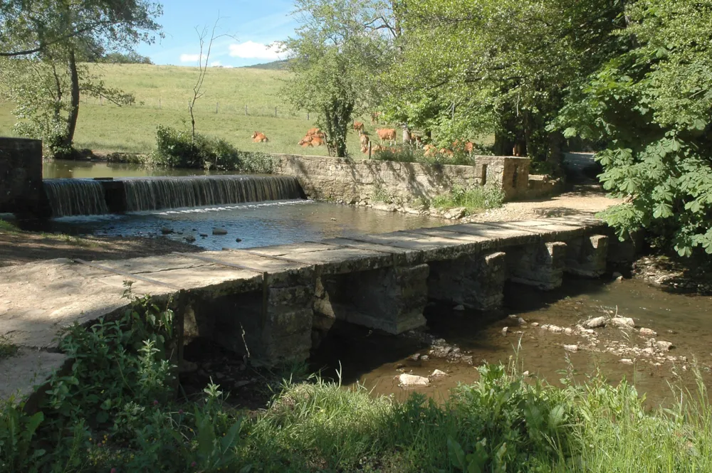 Camping LES CALQUIERES - image n°47 - UniversalBooking