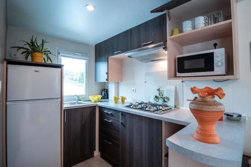 Mobile-Home  Happy Lv  Climatisé