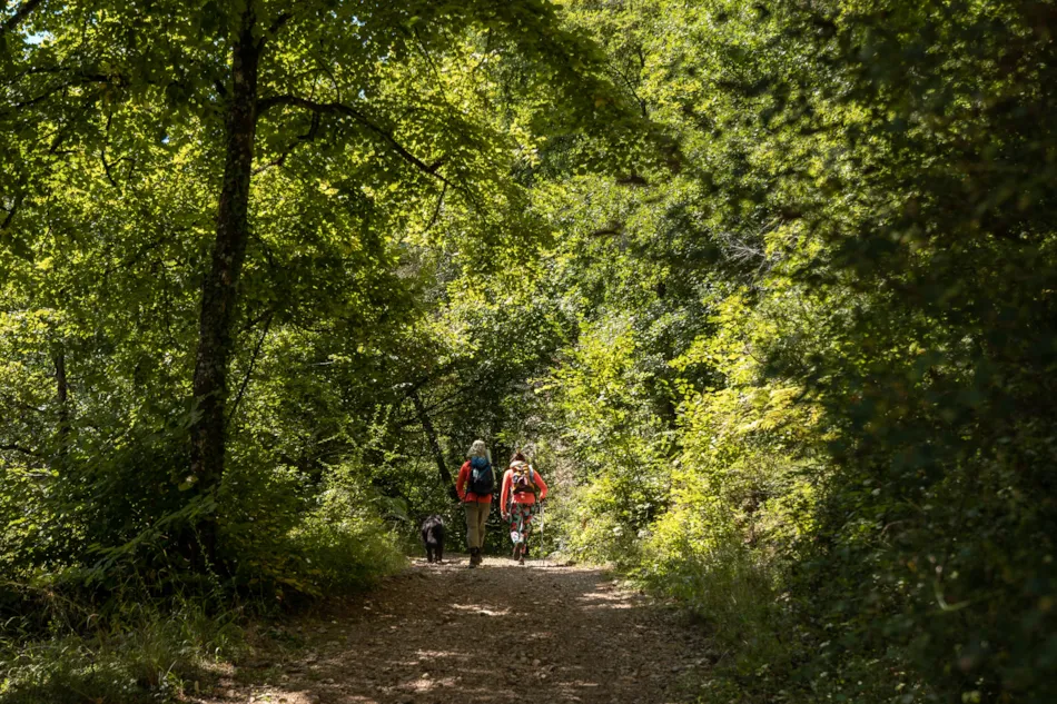 Camping LES CALQUIERES