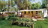 Foto #4 van Baia Domizia Villaggio Camping