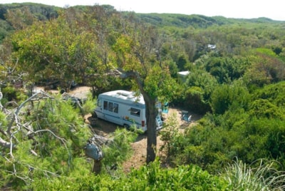 Pitch: car + tent or caravan — 3