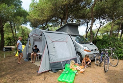 Pitch: car + tent or caravan — 4