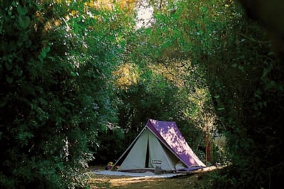 Pitch: camping-car — 6