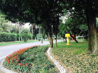 Baia Domizia Villaggio Camping