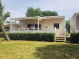 New-Mobile Home Exclusive Plus New-Mobile Home Exclusive Plus