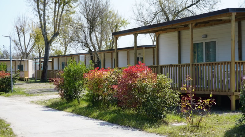 Lodge Superior Ensuite Animaux Admis