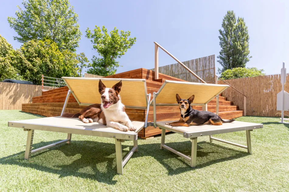 Club del Sole Vigna sul Mar Family Collection