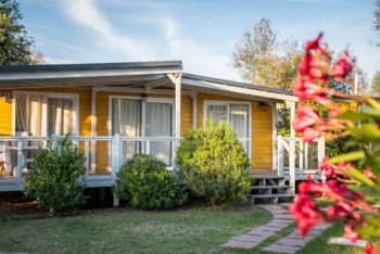 Mietunterkunft - Lodge Deluxe Tiere Nicht Erlaubt - Club del Sole Vigna sul Mar Family Collection