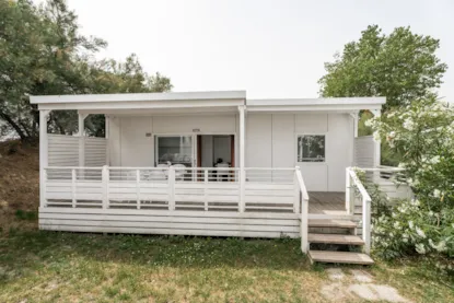 Lodge Deluxe Family Beach Pets  Allowed