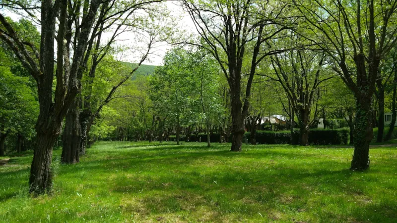 Emplacement Nu Avec Électricité