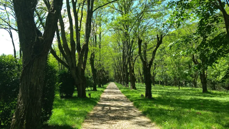 Emplacement Nu Sans Électricité