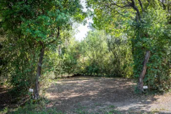 Pitch - Camping Pitch - hu Montescudaio village