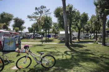 Stellplatz - Stellplatz Belvedere: Zelt/Wohnwagen Oder Wohnmobil - Centro Vacanze Villaggio San Francesco