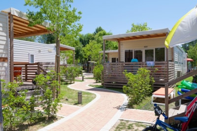 Easy Village — 1