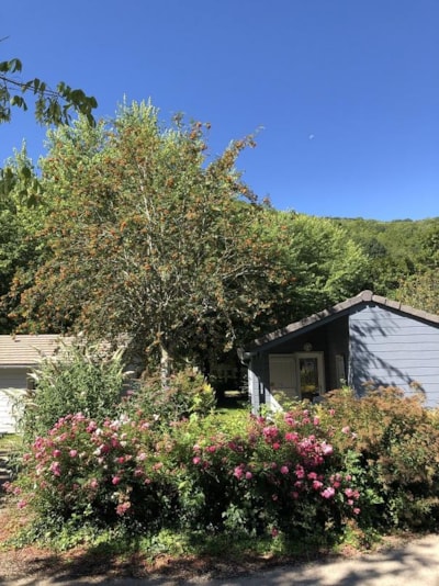 Chalet Détente 21m²