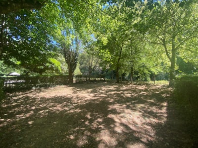 Pitch