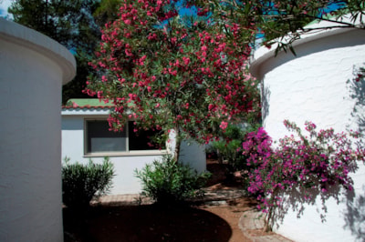 Cottage — 1